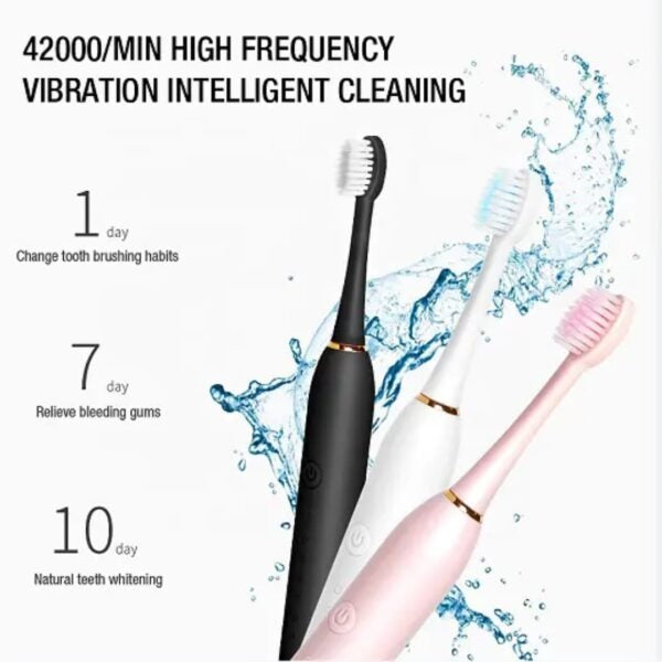 Rechargeable Electric Toothbrush